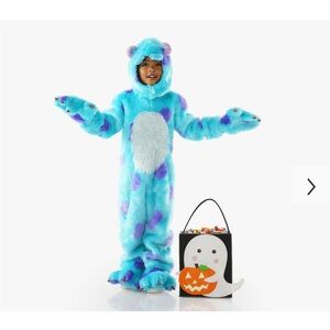 Pottery Barn Blue and Purple Monster Costume